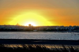 cagliari-saline-e-laguna-di-molentargius