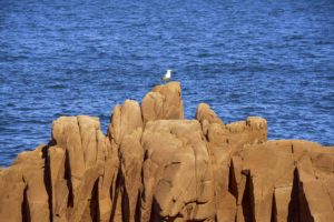 arbatax-rocce-rosse