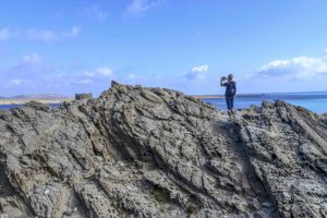 stintino-capo-falcone